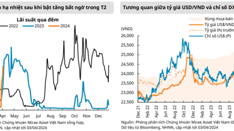 Chứng khoán Mirae Asset: NHNN có khả năng bán hợp đồng kỳ hạn đối với đồng USD