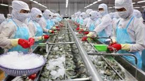 Doanh nghiệp thủy sản niêm yết đã qua giai đoạn nguy khó?