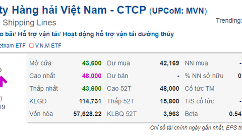 Tăng trần mạnh mẽ, cổ phiếu MVN tìm lại đỉnh cao