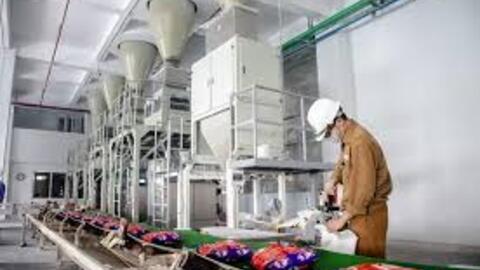 Đức Giang lùi tiến độ dự án chiến lược Nghi Sơn, kế hoạch giảm lãi quý 3