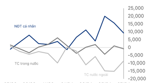 TVS Research: VN-Index thiếu yếu tố hỗ trợ tăng điểm khi dòng tiền nhà đầu tư cá nhân rút lui