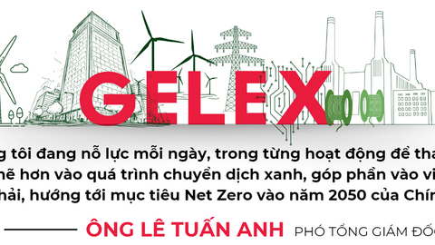 Gelex trong hành trình bền vững