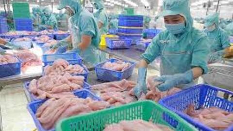 Doanh thu Vĩnh Hoàn tăng 30% trong tháng 7 nhờ thị trường Mỹ