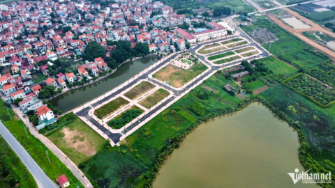 Xuyên đêm đấu giá đất Hoài Đức, có lô hơn 133 triệu/m2 gấp 18 lần khởi điểm