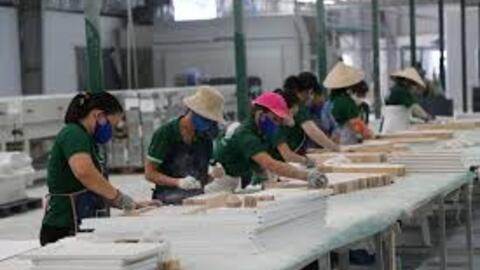 Gỗ Trường Thành tiếp tục "điệp khúc" bay sạch lợi nhuận sau soát xét