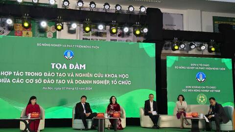Liên kết trong đào tạo đại học để đáp ứng nhu cầu thực tiễn
