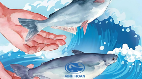 Lãi đậm quý 4, Vĩnh Hoàn vượt mọi kịch bản