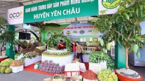 Hoàn thiện Bộ tiêu chí OCOP theo hướng xây dựng thương hiệu quốc gia, đáp ứng yêu cầu mới
