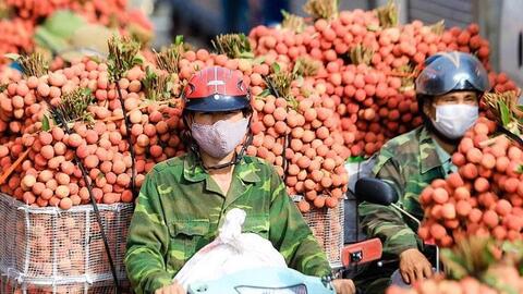 <a href="/thuong-mai" title="Thương mại" rel="dofollow">Thương mại</a>