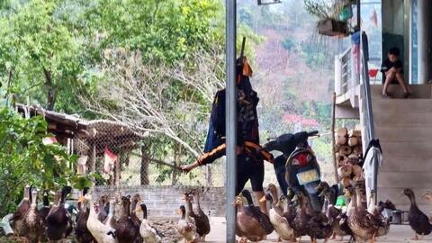 <a href="/thuong-mai" title="Thương mại" rel="dofollow">Thương mại</a>