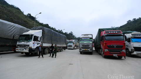 <a href="/thuong-mai" title="Thương mại" rel="dofollow">Thương mại</a>