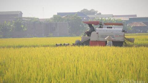 <a href="/thuong-mai" title="Thương mại" rel="dofollow">Thương mại</a>