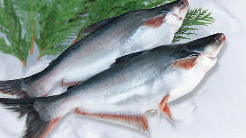 <a href="/thuong-mai" title="Thương mại" rel="dofollow">Thương mại</a>