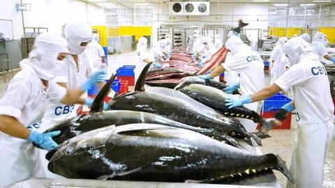 <a href="/thuong-mai" title="Thương mại" rel="dofollow">Thương mại</a>