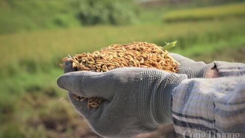 <a href="/thuong-mai" title="Thương mại" rel="dofollow">Thương mại</a>