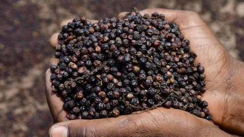 <a href="/thuong-mai" title="Thương mại" rel="dofollow">Thương mại</a>