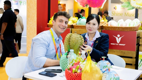 <a href="/thuong-mai" title="Thương mại" rel="dofollow">Thương mại</a>