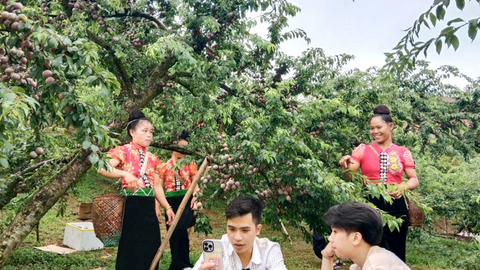 <a href="/thuong-mai" title="Thương mại" rel="dofollow">Thương mại</a>
