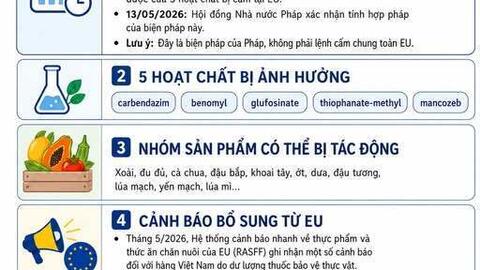 <a href="/thuong-mai" title="Thương mại" rel="dofollow">Thương mại</a>