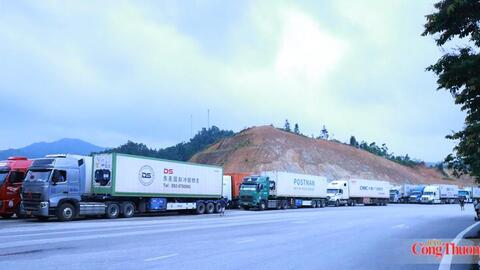 <a href="/thuong-mai" title="Thương mại" rel="dofollow">Thương mại</a>