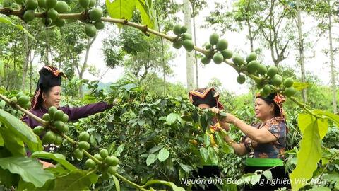 <a href="/thuong-mai" title="Thương mại" rel="dofollow">Thương mại</a>