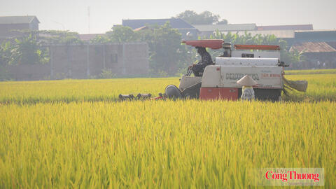 <a href="/thuong-mai" title="Thương mại" rel="dofollow">Thương mại</a>