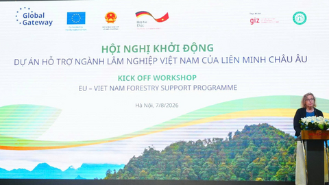 Việt Nam phối hợp với EU và Đức khởi động dự án hỗ trợ ngành Lâm nghiệp