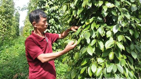 <a href="/thuong-mai" title="Thương mại" rel="dofollow">Thương mại</a>