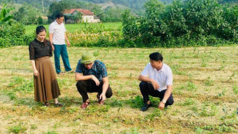 Tạo nền tảng giảm nghèo bền vững ở xã vùng biên ở Hà Tĩnh