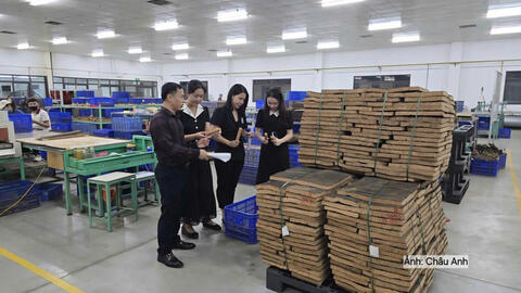 <a href="/thuong-mai" title="Thương mại" rel="dofollow">Thương mại</a>