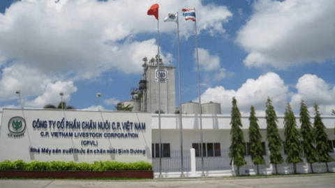 Vilico gom 5.4 triệu cp của doanh nghiệp sản xuất rượu vang Đà Lạt