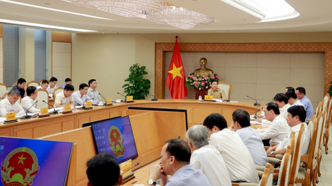 Thí điểm phát triển điện gió ngoài khơi để hoàn thiện cơ chế, chính sách pháp luật