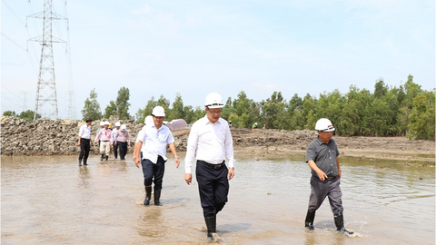Cập nhật tiến độ dự án giải tỏa công suất Nhà máy điện Nhơn Trạch 3 (ngày 24/2/2025)