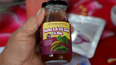 Cần Thơ đa dạng hóa sản phẩm chế biến từ vú sữa, tạo sinh kế mới cho người dân