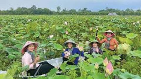 Đồng Tháp đạt tổng thu hơn 4100 tỷ đồng từ phát triển du lịch xanh