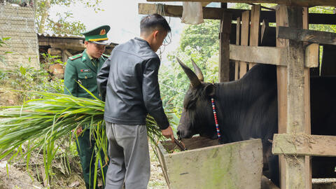 Bộ đội Biên phòng Nghệ An giữ ấm 'đầu cơ nghiệp' cho dân bản