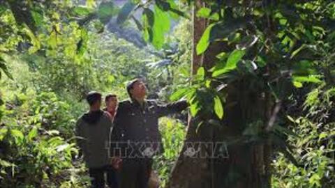 Mở rộng chính sách đầu tư bảo vệ rừng đặc dụng