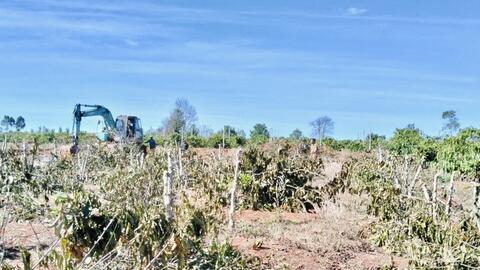 Gia Lai: Bàn giao 9,5 km mặt bằng thi công cao tốc Quy Nhơn - Pleiku