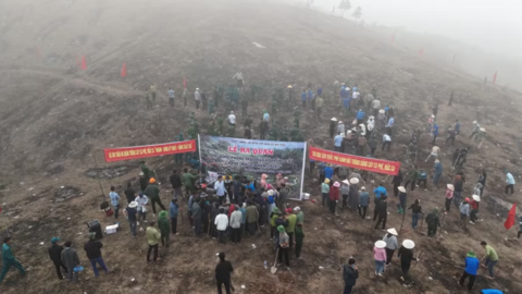 Điện Biên đồng loạt ra quân trồng 12.000ha mắc ca, cà phê