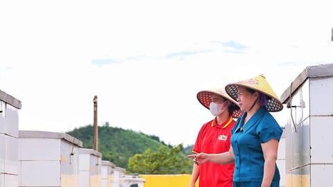 Đưa nước mắm làng biển đến thương hiệu OCOP 5 sao quốc gia