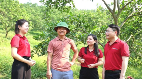 Vốn xanh Agribank vun đắp những mùa quả ngọt