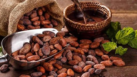 Giá ca cao tăng vọt hơn 9% trước rủi ro nguồn cung
