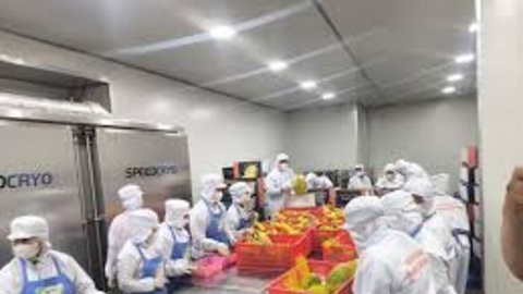 7 tháng, tổng kim ngạch xuất, nhập khẩu tăng 28,1%
