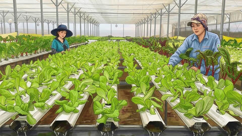 Dự kiến bố trí 1.300 tỷ đồng mỗi năm hỗ trợ kinh tế hợp tác xã