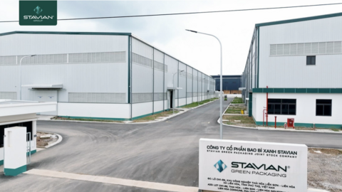 Tập đoàn Stavian được vinh danh trong Top 155 VNTAX 200 và Top 69 PRIVATE 100 năm 2026