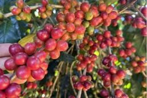 <a href="/chuyen-dong-kinh-te" title="Chuyển động kinh tế" rel="dofollow">Chuyển động kinh tế</a>