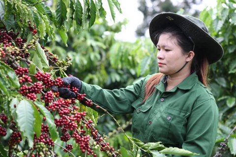 <a href="/chuyen-dong-kinh-te" title="Chuyển động kinh tế" rel="dofollow">Chuyển động kinh tế</a>
