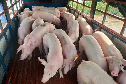 <a href="/chuyen-dong-kinh-te" title="Chuyển động kinh tế" rel="dofollow">Chuyển động kinh tế</a>