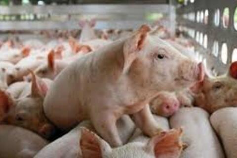 <a href="/chuyen-dong-kinh-te" title="Chuyển động kinh tế" rel="dofollow">Chuyển động kinh tế</a>