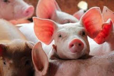 <a href="/chuyen-dong-kinh-te" title="Chuyển động kinh tế" rel="dofollow">Chuyển động kinh tế</a>